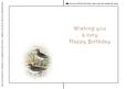 Seasonal Birds 11 Insert
