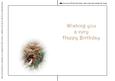 Seasonal Birds 12 Insert