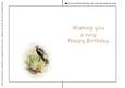 Seasonal Birds 13 Insert