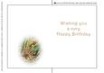 Seasonal Birds 14 Insert