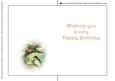 Seasonal Birds 15 Insert