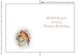 Seasonal Birds 5 Insert