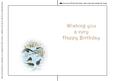 Seasonal Birds 8 Insert