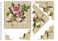 Wild Rose Wavy Pyramid Card