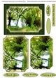 Mary Holland Park Scenic Quick Card B