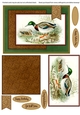 Mallard duck sportsman birds outdoors fathers day birthday card for men male birthday