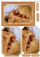 Stagecoach 1 Western cowboy horses fathers day mens birthday cards for men quick card male birthday