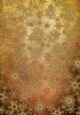 Glitter Grunge Steampunk Snowflake Backing Paper Background 11