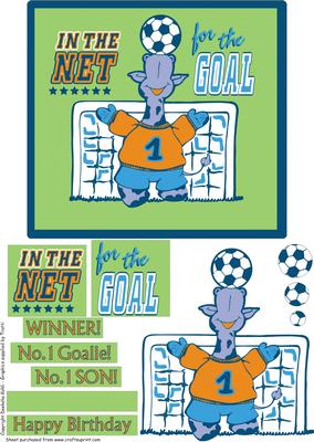 In the Net for the Goal!