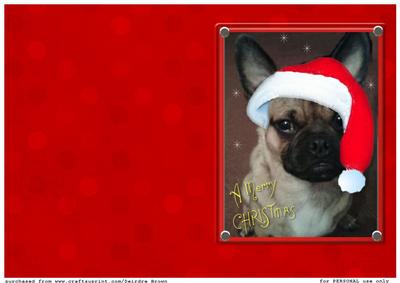 French Bulldog Christmas Card