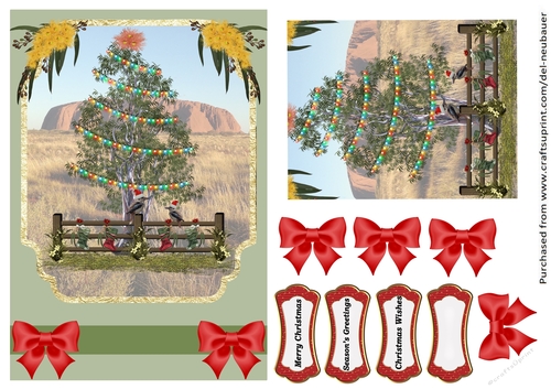 Christmas in Australia 2