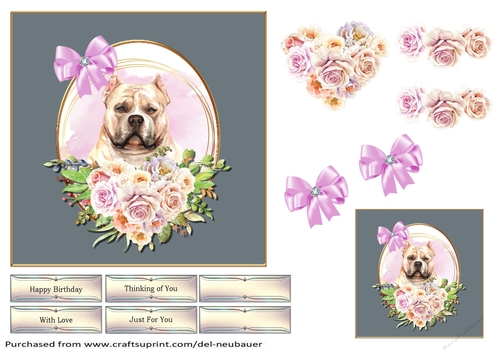 Love My Dog - American Bully