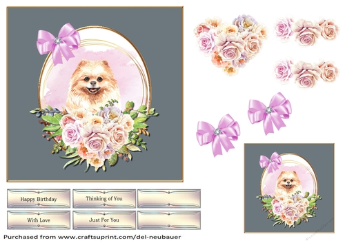 Love My Dog - Pomeranian