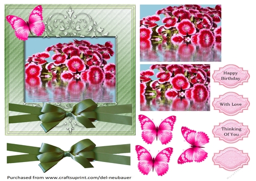 Floral Reflections - Pink Dianthus