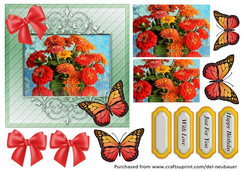Floral Reflections - Zinnias