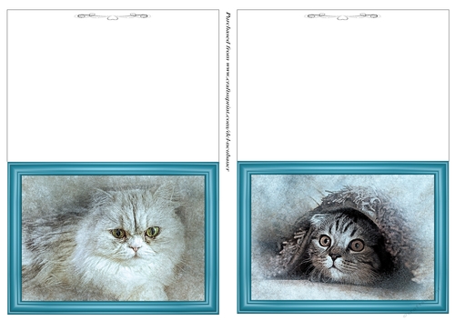 For the Love of Cats Notelets 1