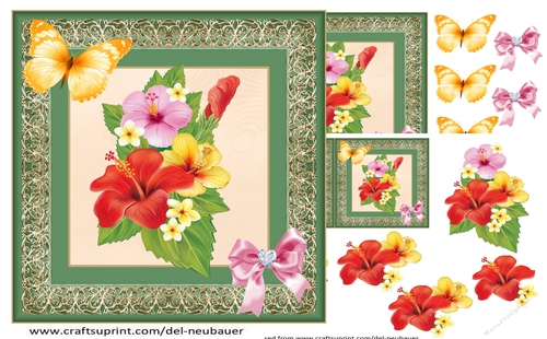 Tropical Hibiscus 3