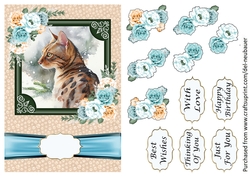 Cats - Bengal 4