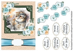 Cats - Scottish Fold 2