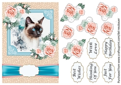 Cats - Siamese 1