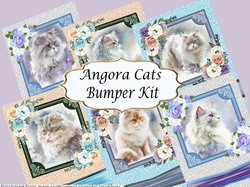 Angora Cats Bumper Kit