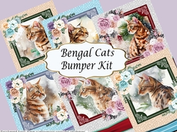 Bengal Cats Bumper Kit