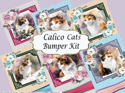 Calico Cats Bumper Kit