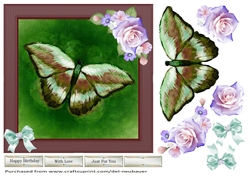 Butterfly Beauty - Green