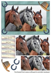Running with the Herd 8