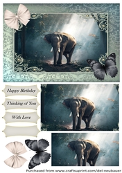 Follow the Elephant Path 1