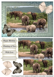 Follow the Elephant Path 2