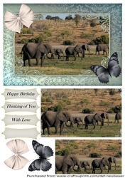 Follow the Elephant Path 4