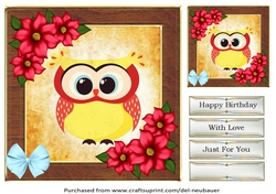 Funky Owls Quick card #14