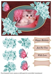 Kitty Cuteness