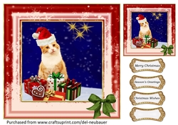 Happy Jolly Catmus