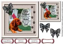 A Dog is a Friend 1