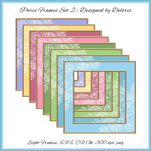 Lovely Delicate White Roses Frames Set 2 (Paris Colors)