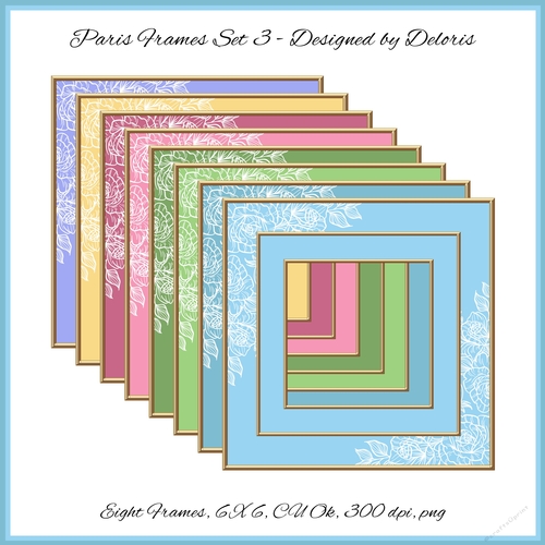 Lovely Delicate White Roses Double Frames Set 3 (Paris Colors)