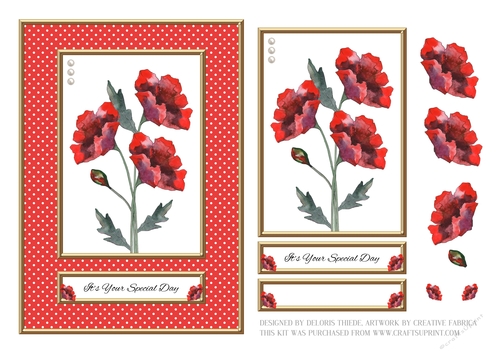 Red Poppies In A Polka Dot Frame