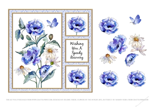 Poppies N Daisies Get Well Card One