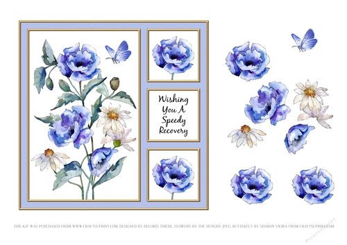 Poppies N Daisies Get Well Card Three
