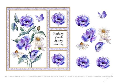 Poppies N Daisies Get Well Card Four
