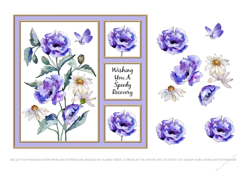 Poppies N Daisies Get Well Card Five