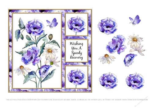 Poppies N Daisies Get Well Card Six