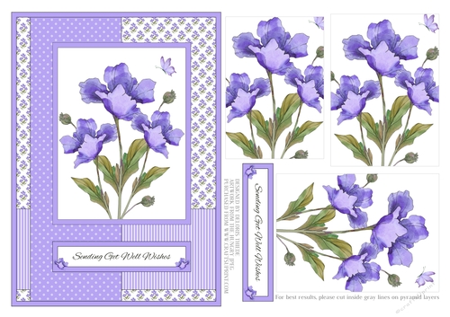 Lovely Poppies - Sending Get Well Wishes - Card Three