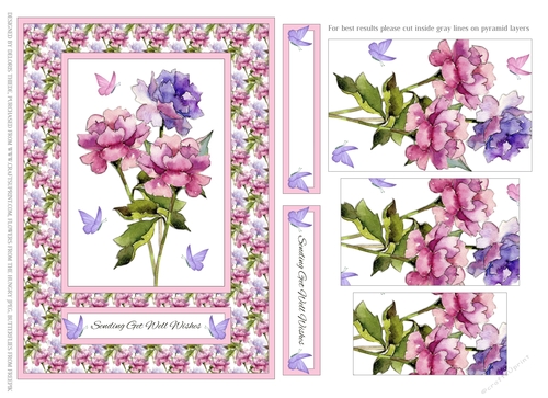 Lovely Peonies - Sending Get Well Wishes