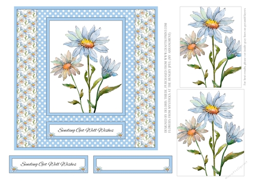 Lovely Daisies - Sending Get Well Wishes