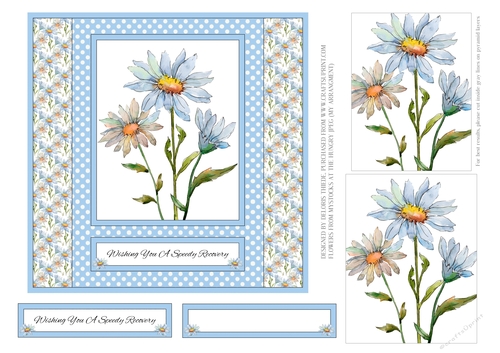 Lovely Daisies - Wishing You A Speedy Recovery
