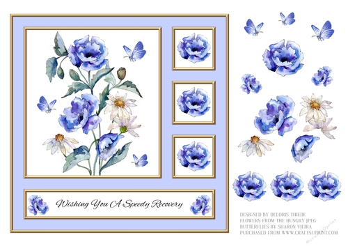 Poppies N Daisies Get Well Topper (Lt Blue)