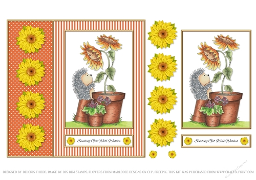 Cute Hedgehog Topper - Sending Get Well Wishes 